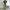 Musinsa Standard chino longpants khakis, Loose Fit photo 2
