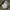 GAP Camo Pullover Hoodie photo 4