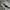 11Feb carpenter longpants true white, Regular Straight

Fit photo 7