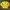 Yellow Cardigans photo 1