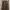 Brown Long Outer photo 1