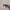 Sunglasses Wanita Cartier photo 2