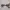 Sunglasses Wanita Cartier photo 3