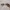 Sunglasses Wanita Cartier photo 1