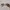 Sunglasses Wanita Cartier