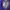 BALTIMORE RAVENS NFL JERSEY TODD HEAP photo 7