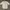 Y2K Tshirt Top  [TAKE ALL]