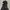 Westwood Gorpcore Outdoor Jacket