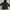 Westwood gorpcore outdoor jacket photo 5