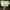GENTLE WOMAN BAG (GREEN) photo 2