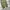 Cargo parachute balloon pants photo 6