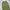 Cargo parachute balloon pants photo 2