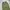 Cargo Parachute Balloon Pants
