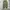 Cargo Parachute Balloon Pants