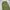 Cargo parachute balloon pants photo 4