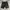 Carhartt - Cargo Short Pants (Black) photo 2