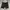 Carhartt - Cargo Short Pants (Black)