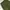 GU superwide cargo ballonants (olive green) photo 6