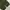 GU superwide cargo ballonants (olive green) photo 4