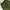 GU superwide cargo ballonants (olive green) photo 3