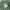 Uniqlo - Slim Straight Pants (Green) photo 4