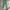 Uniqlo - Slim Straight Pants (Green)