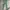Uniqlo - Slim Straight Pants (Green) photo 1