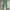 Uniqlo - Slim Straight Pants (Green)