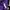 LMC Casual Sweatshirt Pria purple photo 6