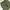 Uniqlo cargo paracute (olive green) photo 3