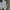crop lengan panjang photo 5