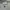 Nike Air Jordan Camo Long slaave ORIGINAL ✓ photo 8