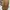 Michael Kors  Brown Backpack photo 3