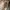Michael Kors  Brown Backpack photo 8