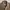 Vintage Claudio Valentino Brown Suede Harrington Flight Jakt photo 4