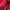 Valentino Biker Casual Shoulder Bag Wanita Red