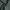 Basic Japanese ankle length tailored trousers hunter green r photo 4