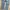 Levi’s 505 Light Blue Reguler Jeans photo 8