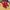 Adidas Bali Red White🇮🇩 photo 3