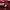 Hermes Luxury T-shirt Wanita burgundy photo 4