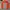 Y2K WINDBREAKER NIKE REFLEKTIF photo 2
