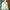 cardigan fairycore coquette outer photo 1
