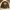 Varcity Univ CHONBUK Brown Jacket  Size L photo 1