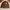 Varcity Univ CHONBUK Brown Jacket  Size L photo 2