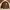 Varcity Univ CHONBUK Brown Jacket  Size L