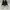 Converse ctas 70 hi plus black white photo 2