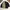 The North Face Reversible Sheepskin Winter Jacket  Size S  photo 1