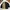 The North Face Reversible Sheepskin Winter Jacket  Size S 