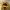 Snapback Deus Ex Machina Kuning photo 2