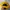 Snapback Deus Ex Machina Kuning